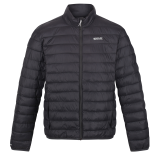 Regatta Hillpack Herren Steppjacke