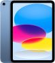 Apple iPad 10  10,9″ iPad (Wi-Fi + Mobilfunk, 256 GB)