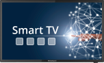 Megasat Camping TV Royal Line IV 24″ Smart TV